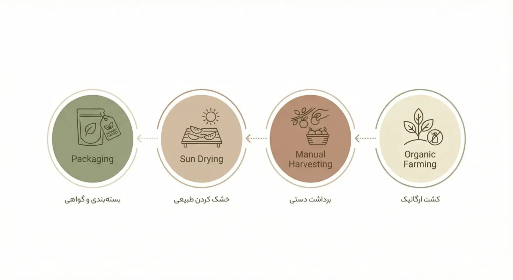 stages