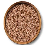 اسفرزه اعلاء دارالشفاء