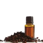 روغن میخک مسکن درد دندان دارالشفاء